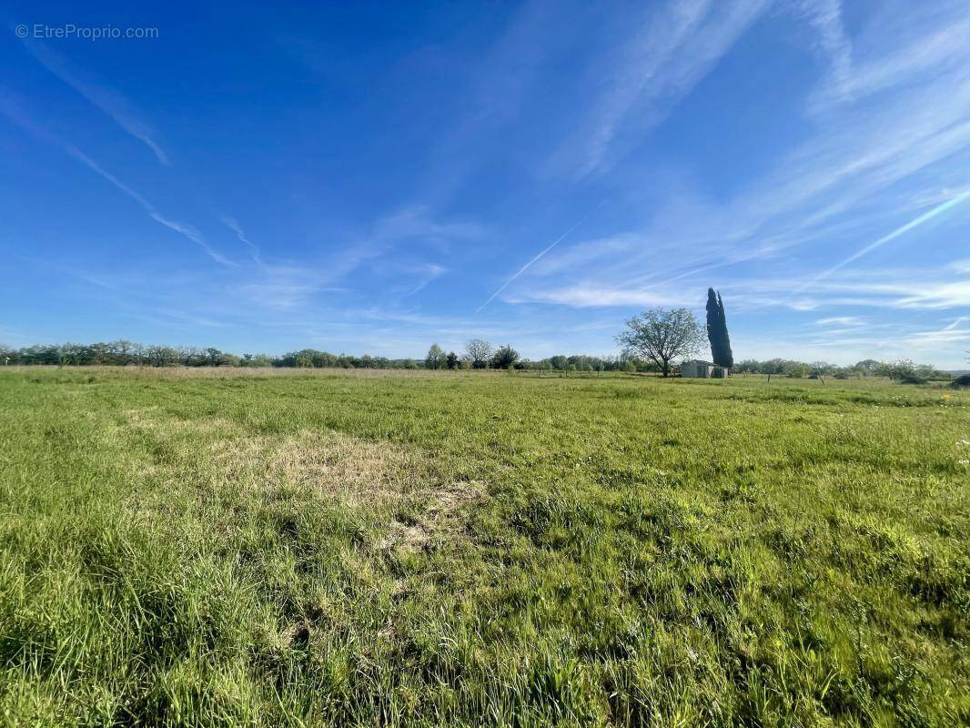 Terrain à GRAULHET