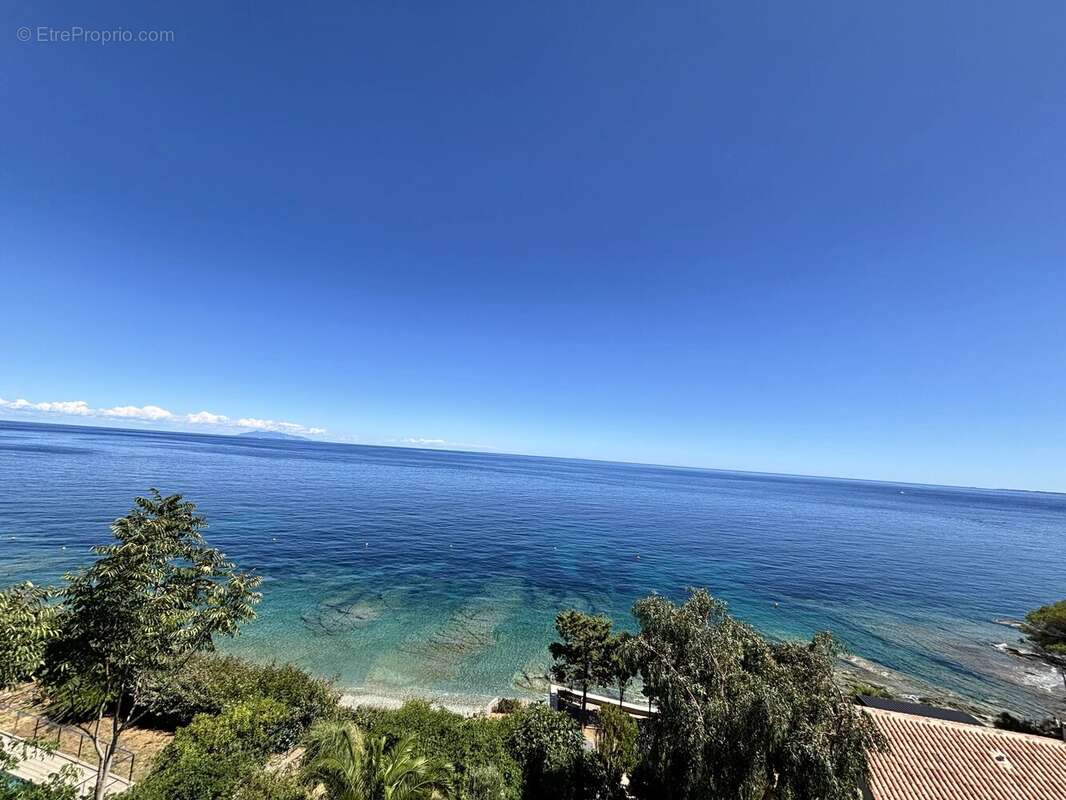 Appartement à SAN-MARTINO-DI-LOTA