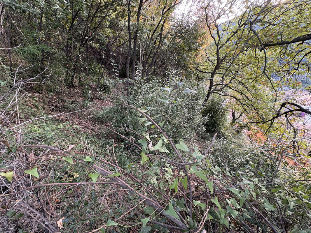 Terrain à GORBIO