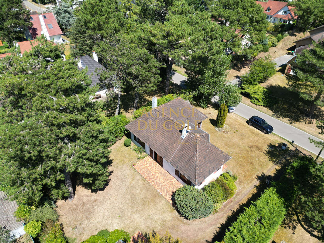 Maison familiale de 145 m2 sur 843 m2 de terrain, secteur forêt Stella - photo 15