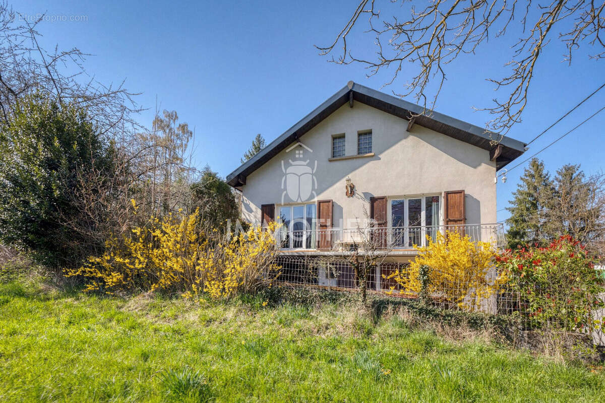 Maison à BRIE-ET-ANGONNES