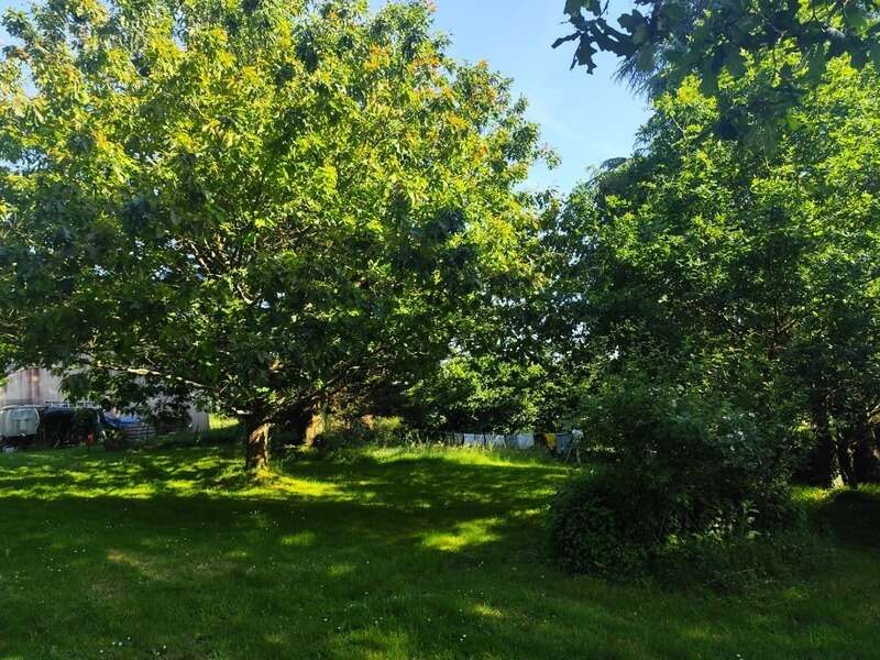 Maison 182 m² à Saint-Jacut-Les-Pins  - photo 15