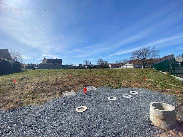 Terrain à MEZIDON-CANON