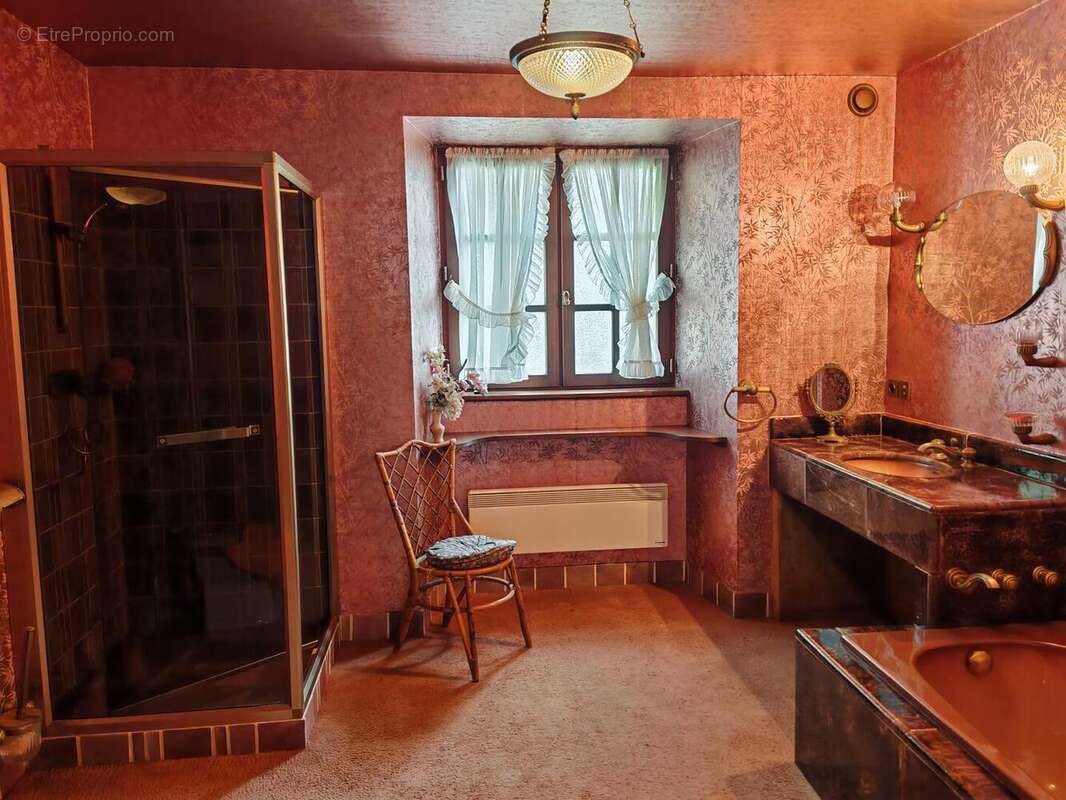 IMG20250507161336 - Maison à PIEGUT-PLUVIERS