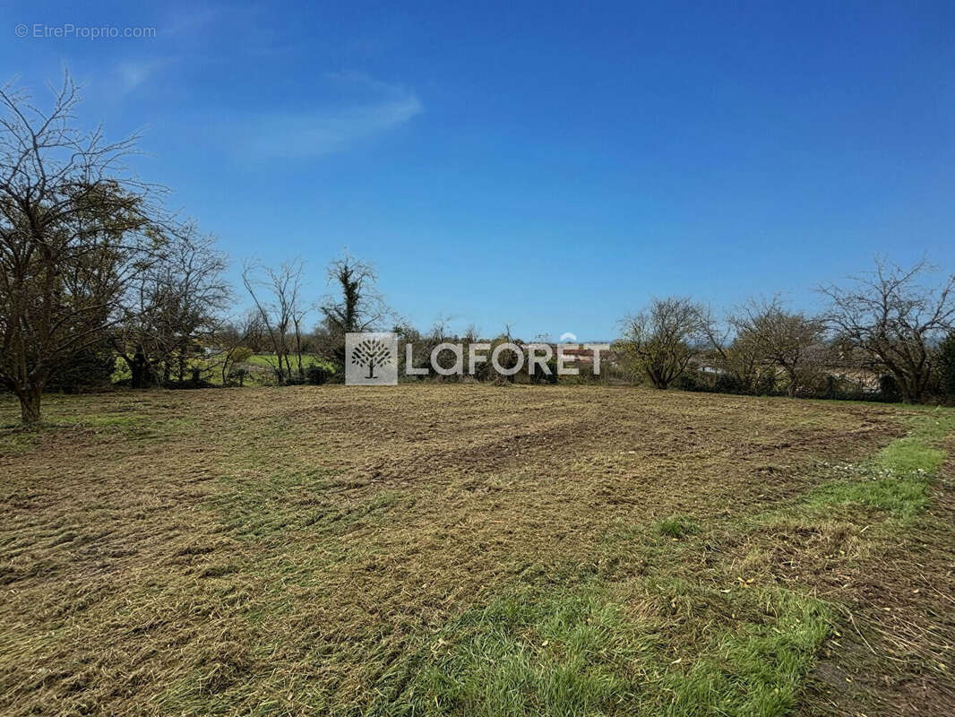 Terrain à MISERIEUX