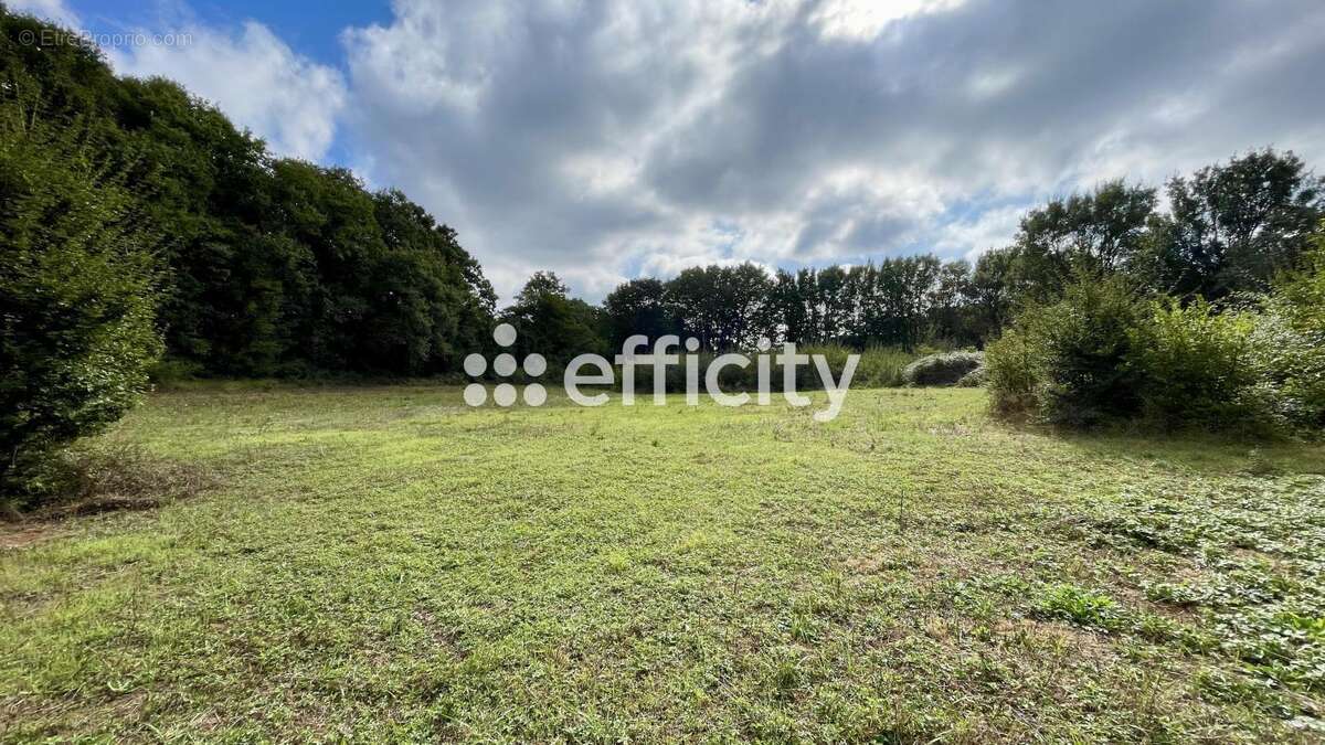 Terrain à BLANZAY