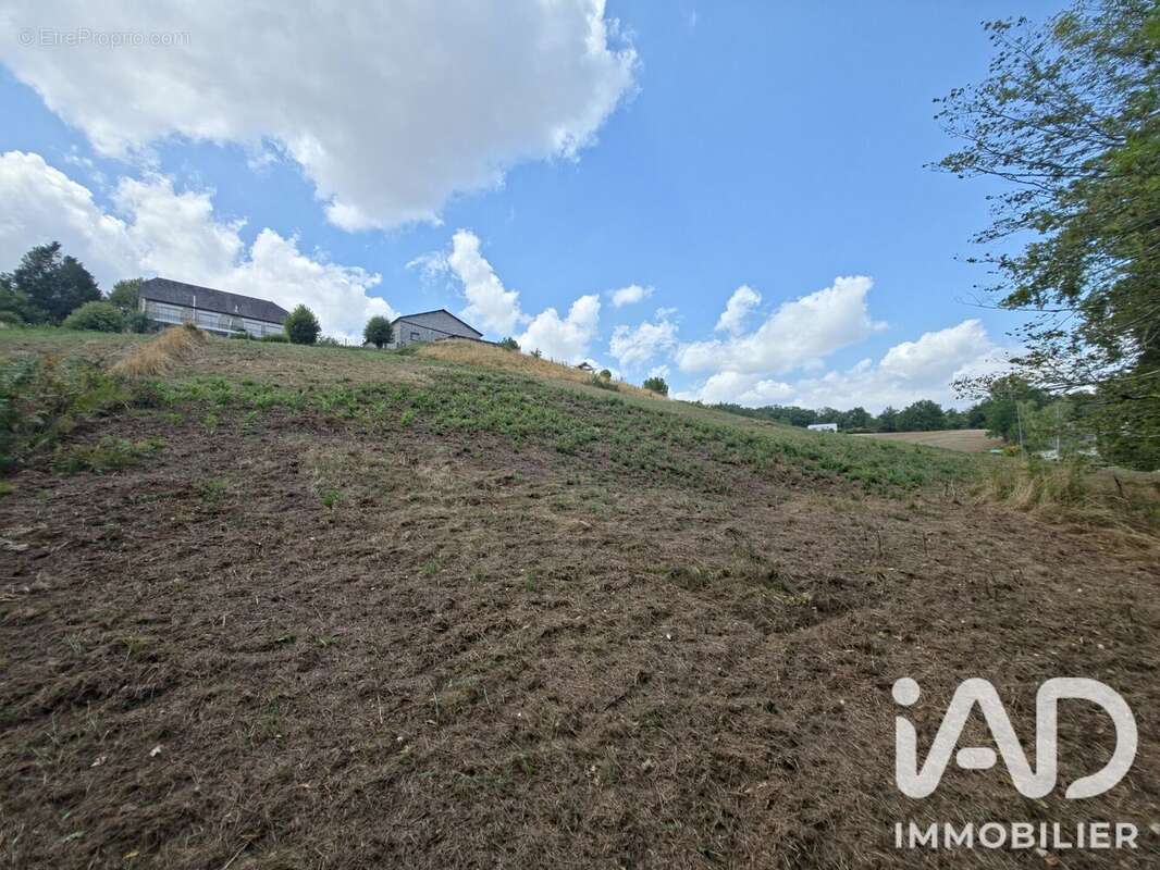 Terrain 8463 m² à Brive-La-Gaillarde  - photo 4