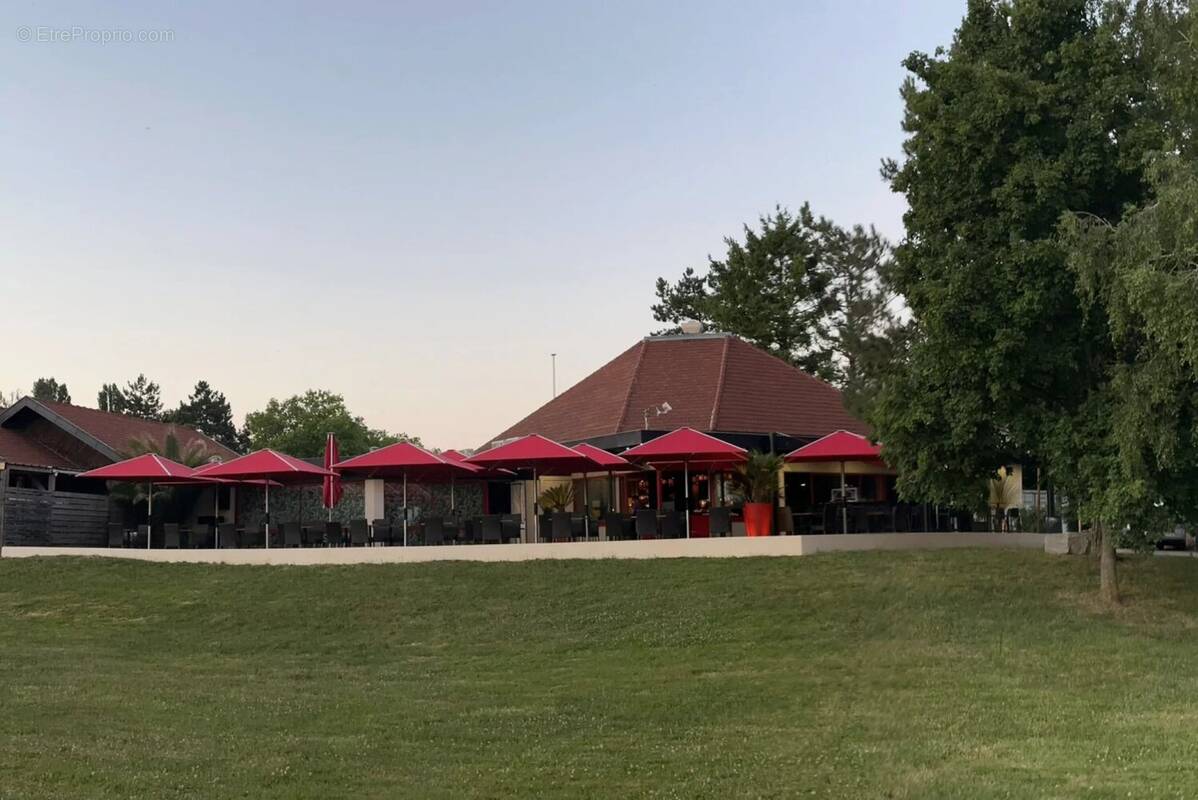 Commerce à CHATENOY-EN-BRESSE