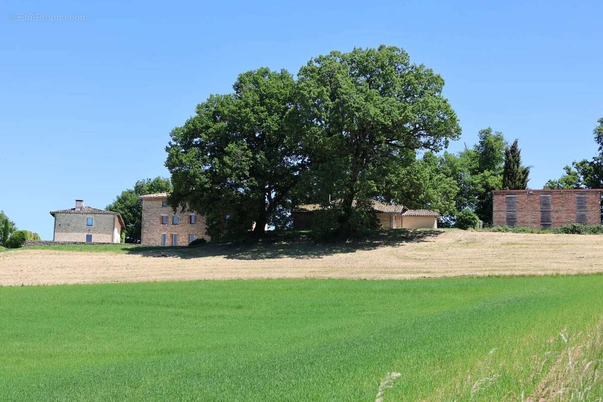 Maison à MONCLAR-DE-QUERCY