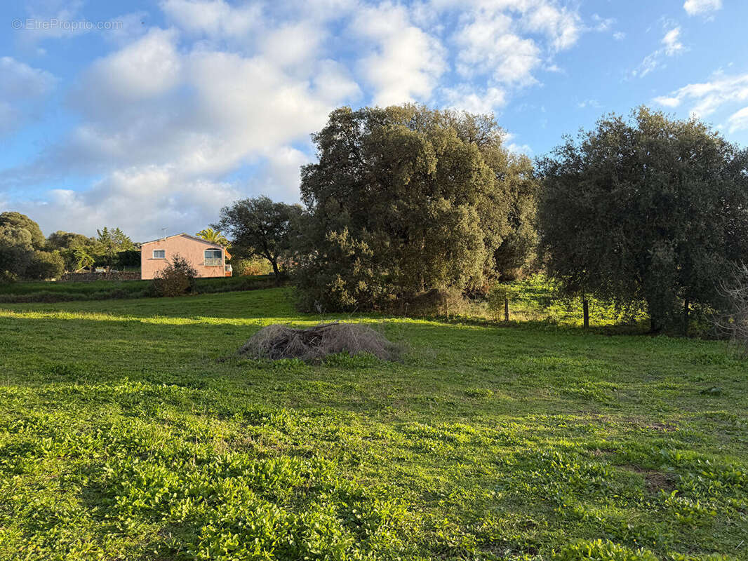 Terrain à BASTELICACCIA