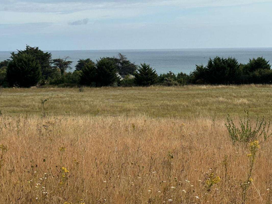 Terrain à ETABLES-SUR-MER