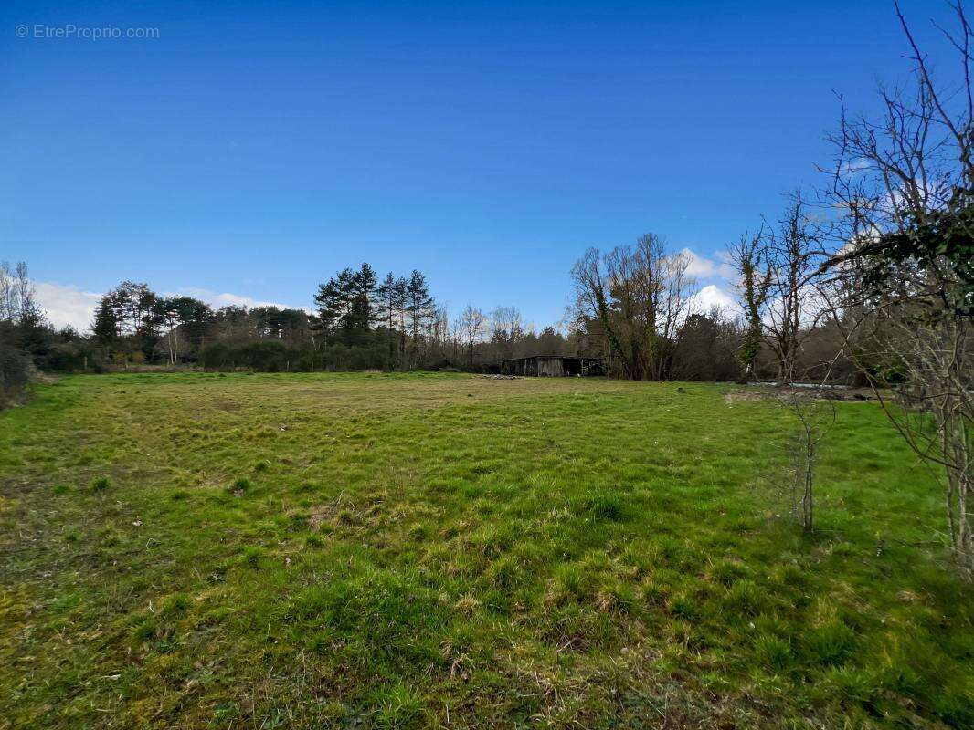 Maison à LA FERTE-SAINT-CYR