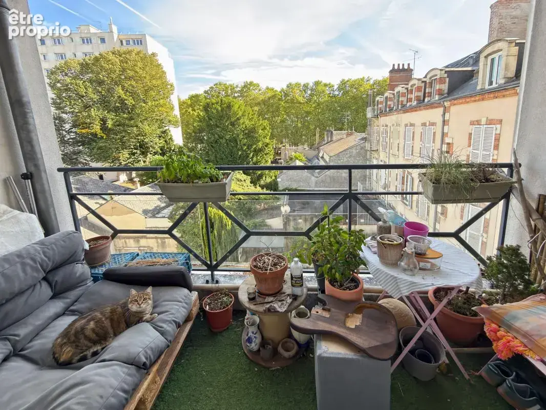  charmant t2 avec balcon plein sud & parking — hyper-centre d'orléans  - photo 2