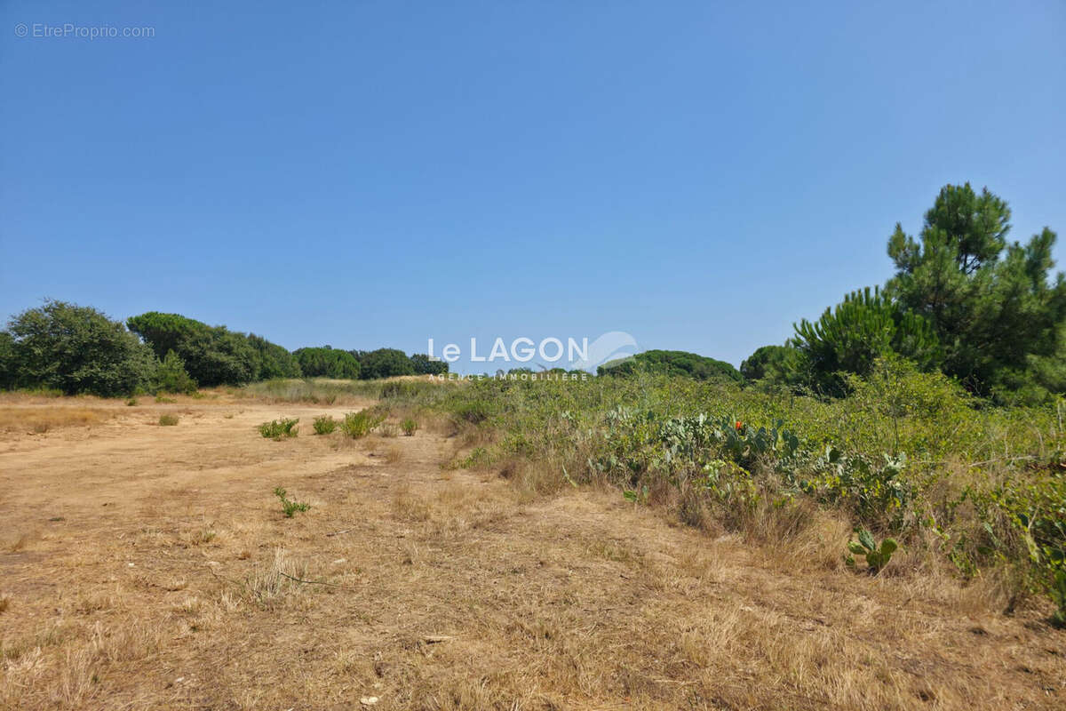 Terrain 222 m² à Latour-Bas-Elne  - photo 2