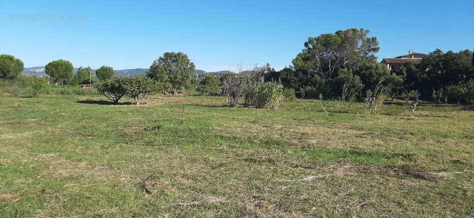 Terrain à BAGNOLS-EN-FORET