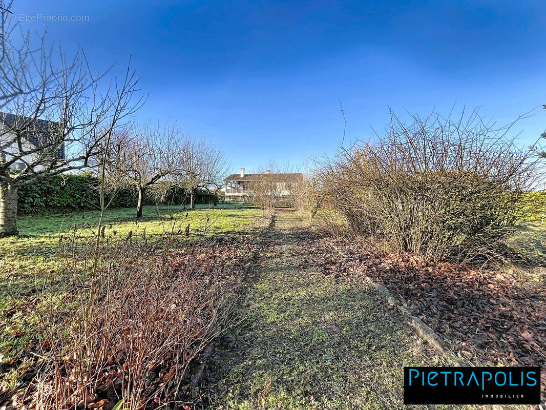 Terrain à CRECHES-SUR-SAONE