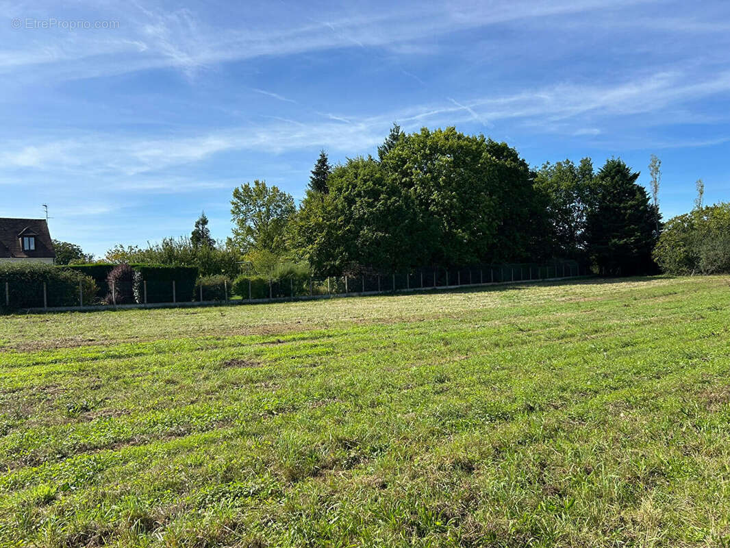 Terrain à MONTIGNY-SUR-LOING