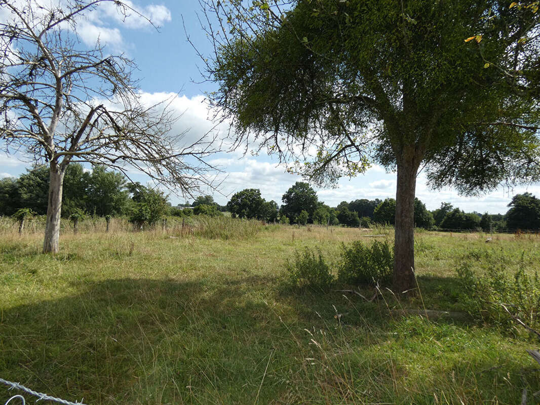 Le mesnillard - photo 10