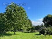 Terrain à TREIGNAC