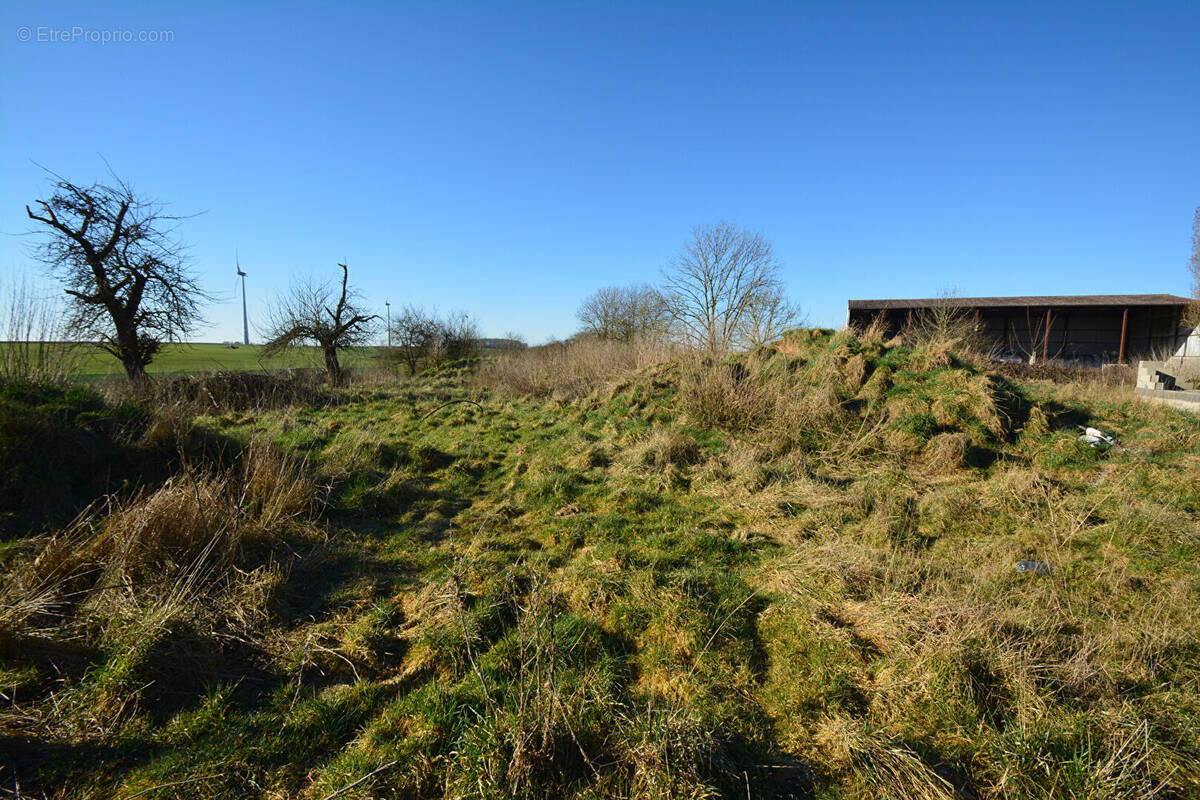Terrain à BRANCOURT-LE-GRAND