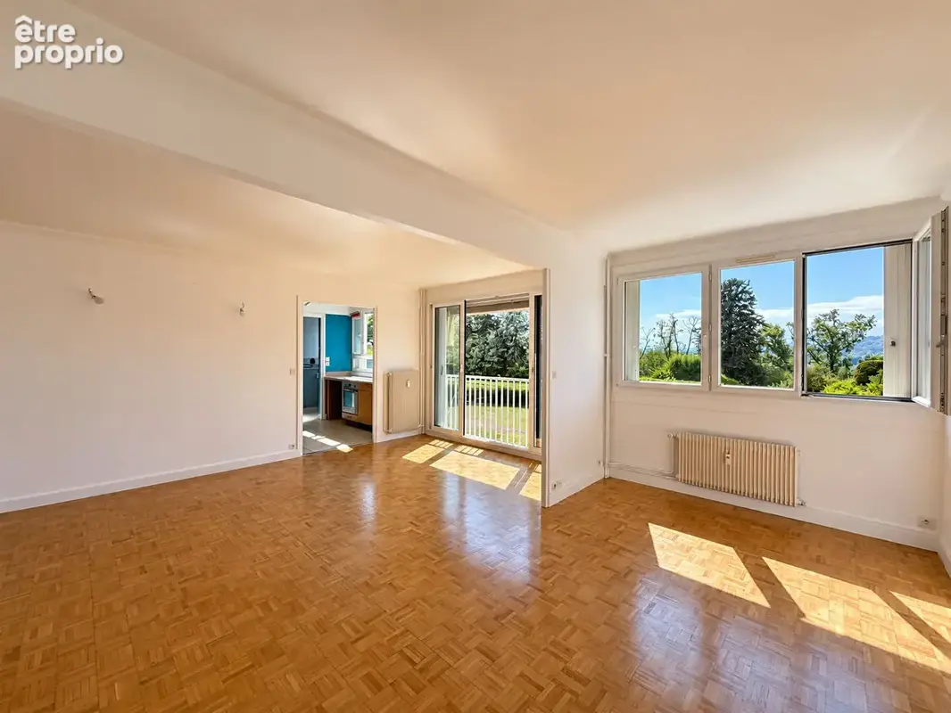 T3 à potentiel - Vue dégagée - photo 5