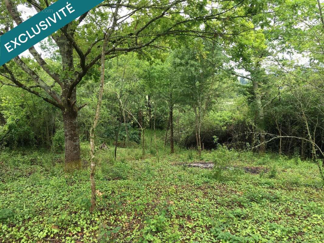 Photo 2 - Terrain à SAINT-MEARD-DE-GURCON