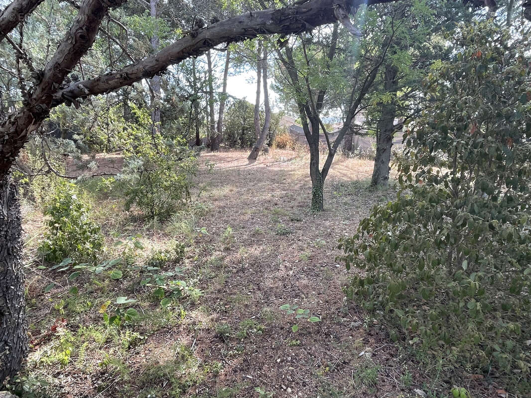 Terrain à SAINT-JEAN-DE-FOS