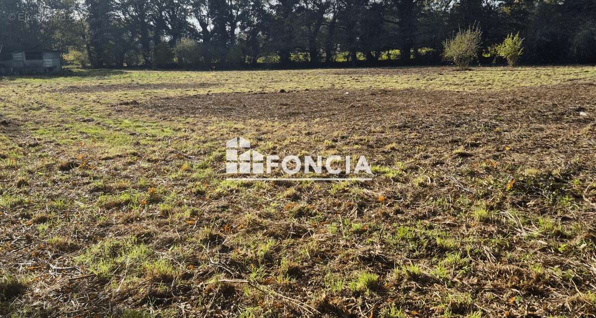 A vendre - terrain non constructible - photo 2