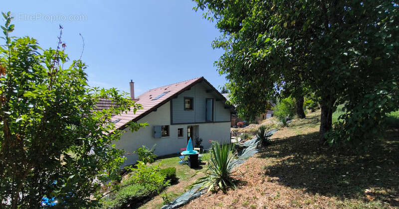 VIUZ EN SALLAZ (74) Villa d'archirecte coteau SUD - photo 7