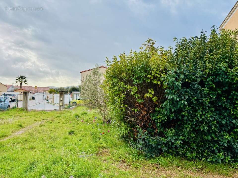 Terrain 730 m² à Le Pradet  - photo 3