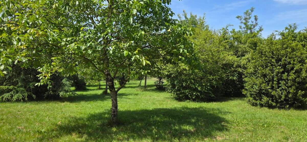 Maison 133 m² à Leigne-Les-Bois  - photo 2