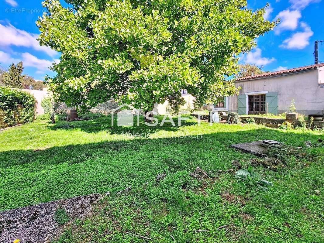 Photo 2 - Maison à BOUTIERS-SAINT-TROJAN