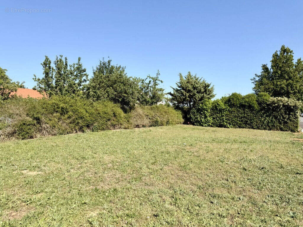 Photo 2 - Terrain à FONTENAY-LE-COMTE