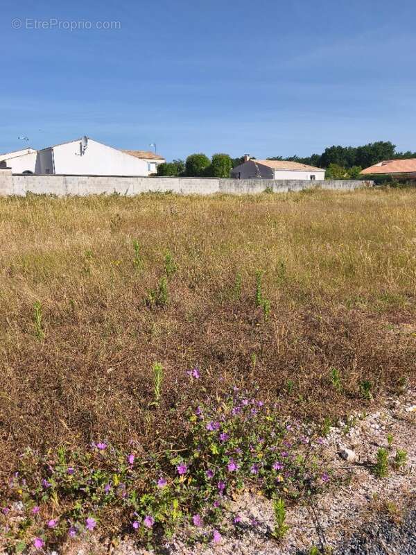 Terrain 252 m² à Vaux-Sur-Mer  - photo 2