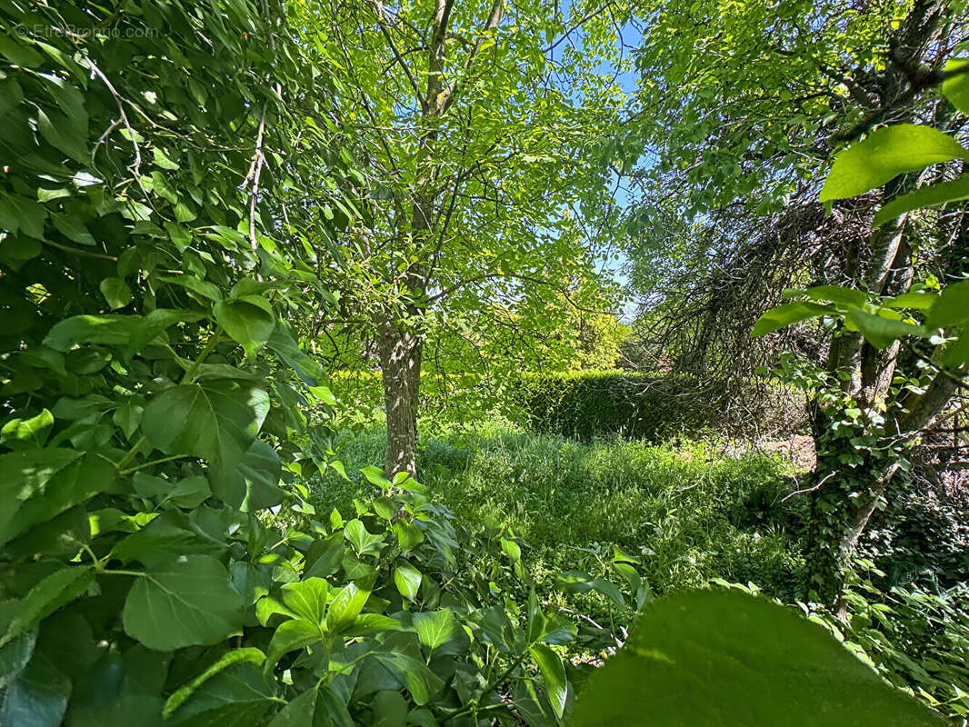 Terrain à ROSNY-SOUS-BOIS