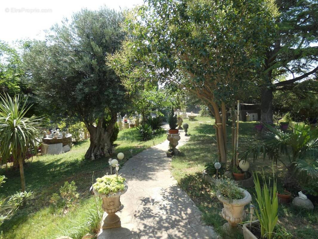 Photo 1 - Maison à PEYRIAC-MINERVOIS