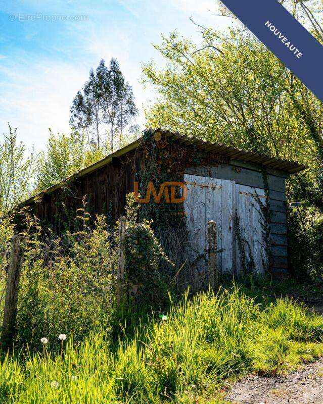 Terrain à SAINT-PAUL