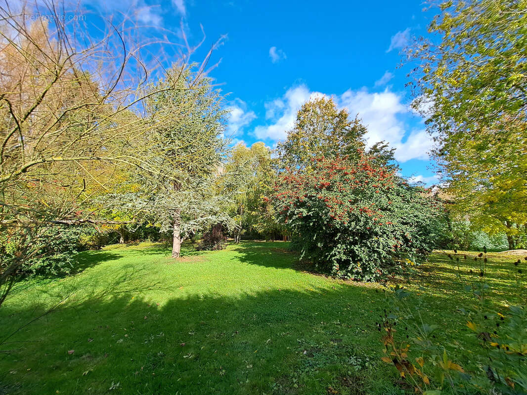 Maison à BRAY-SUR-SEINE
