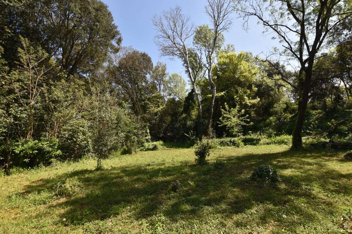 TERRAIN - Maison à BOUILLARGUES
