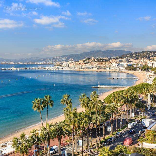 Commerce à CANNES