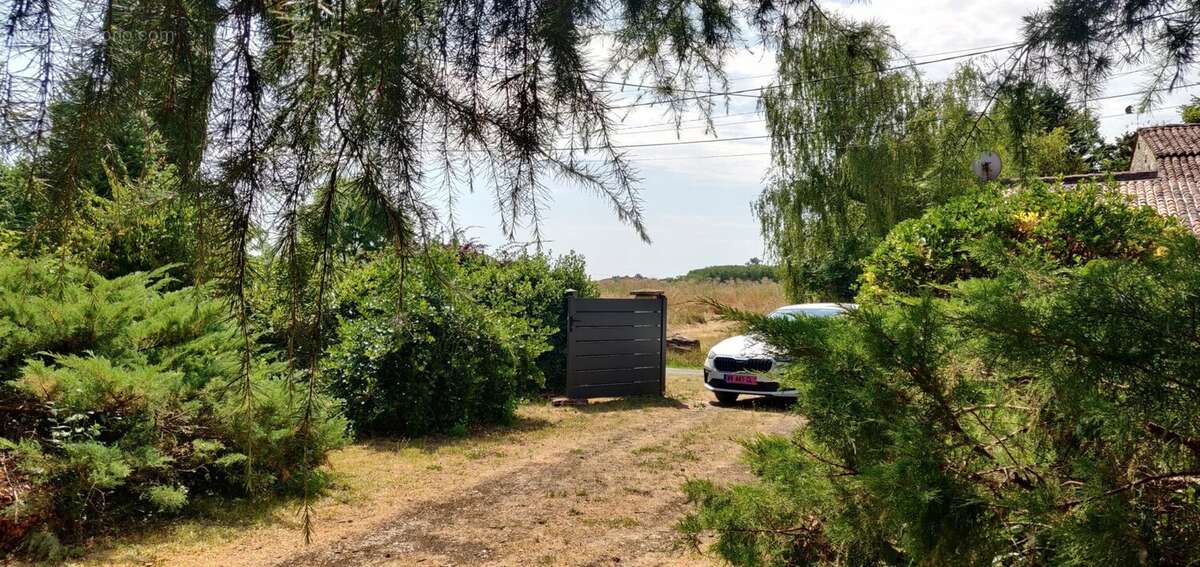 Maison de plain-pied, garage et jardin à vendre à Rioux (17) - photo 5