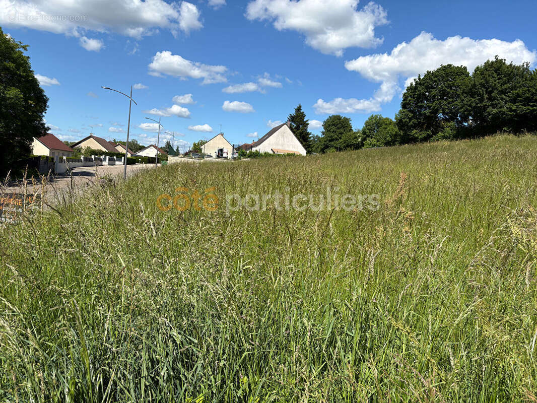 Terrain à ROCHEFORT-SUR-NENON