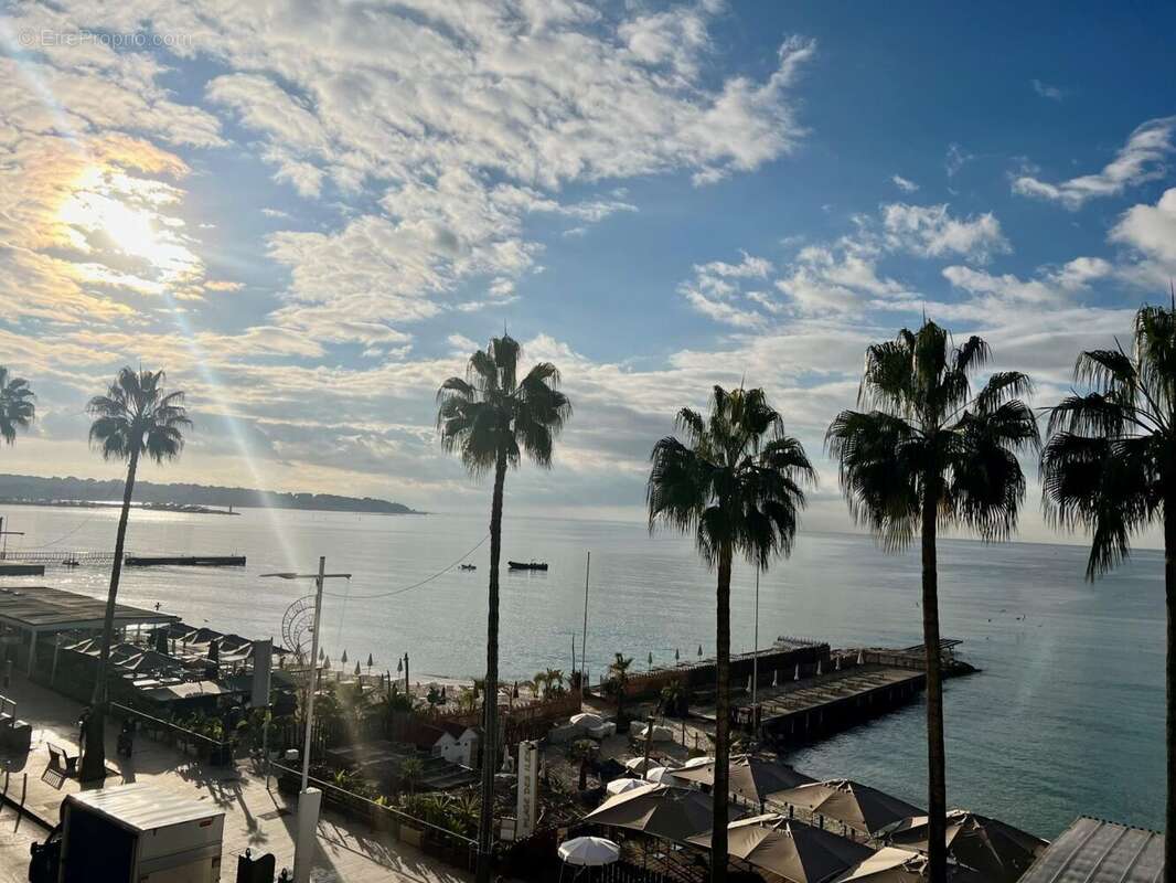 Appartement 36m² à JUAN LES PINS - photo 7