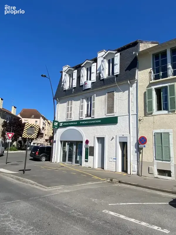Vue Pyrénées - Appartement  4 pièces - 115 m2 - Secteur Place de Verdun - Lamartine - photo 13