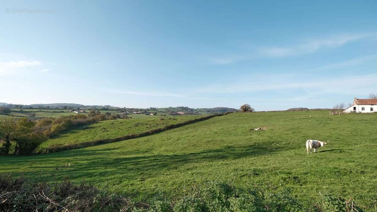 Maison à TOULON-SUR-ARROUX