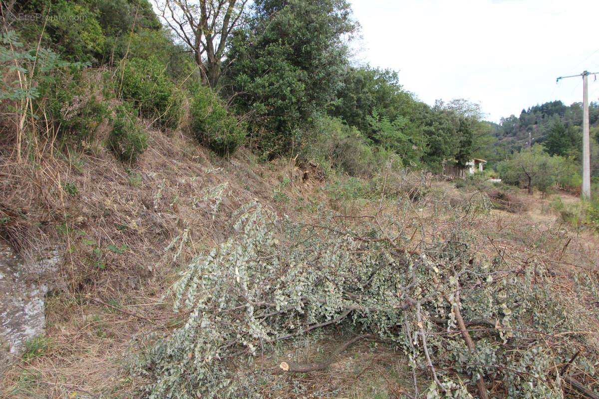 Terrain à LES PLANTIERS