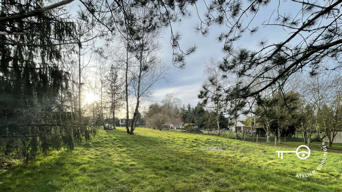 Terrain à MONTRIEUX-EN-SOLOGNE