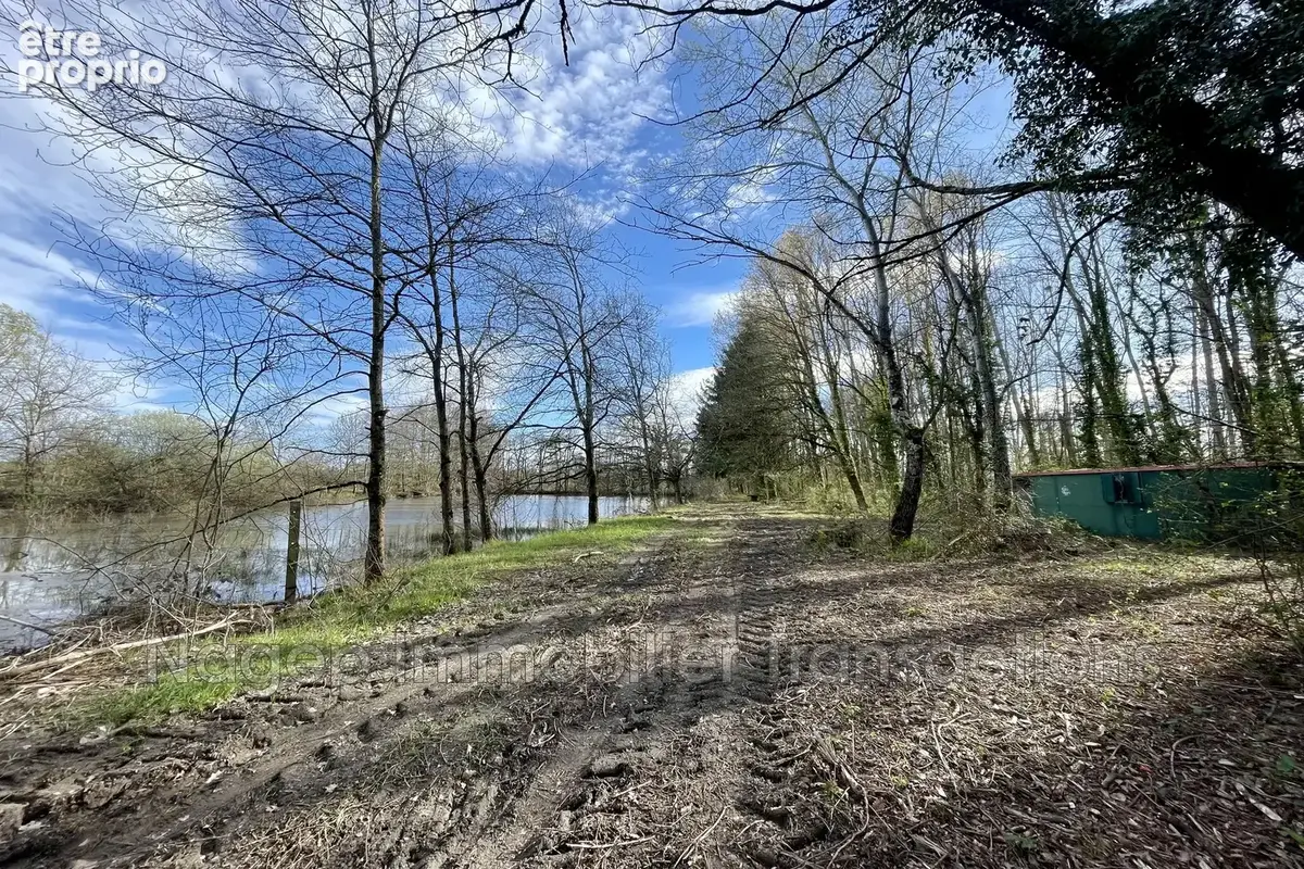 Terrain 23 491 m² à vendre à Lezoux (63190) - photo 5