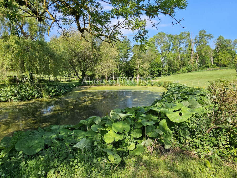 Maison à PONT-L&#039;EVEQUE