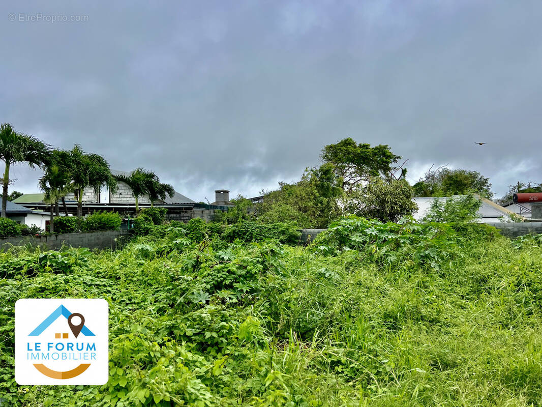 Terrain à SAINT-PIERRE